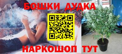 дмт Нальчик